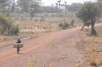 Burkina-près Tengrela