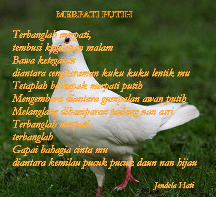 Kata Kata Bijak Burung Merpati Cikimm Com
