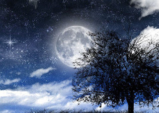 día y noche