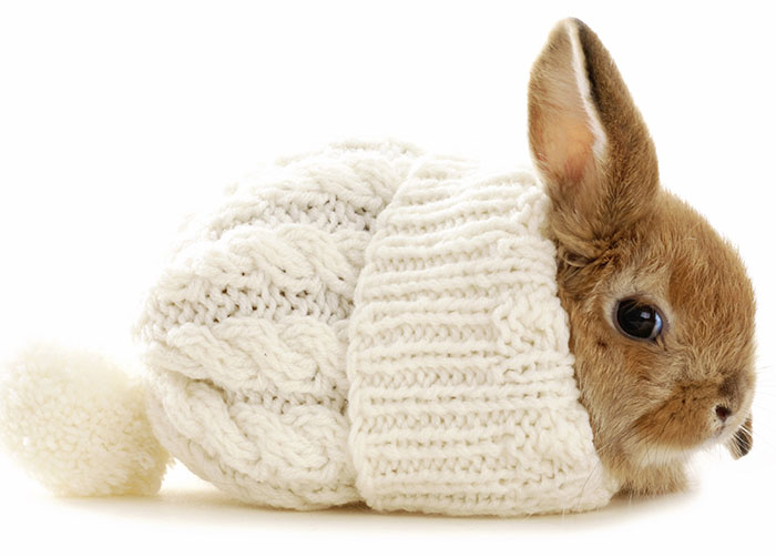 RETUROM Conjuntos de Ropa de Invierno Invierno niño bebé Conejo de impresión Tops Abrigo Pantalones Conjunto de Ropa 