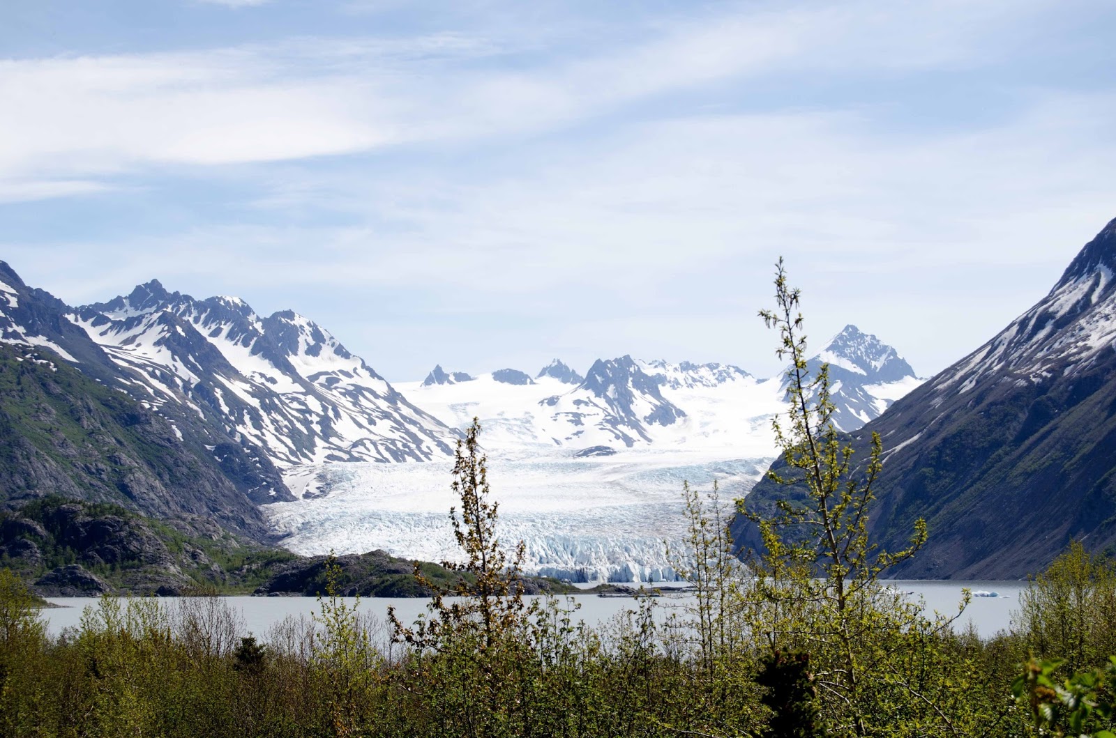 Hiking Grewingk Glacier Lake and Saddle Trail (Summer) Guide for