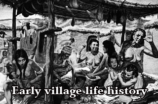 Early village life history