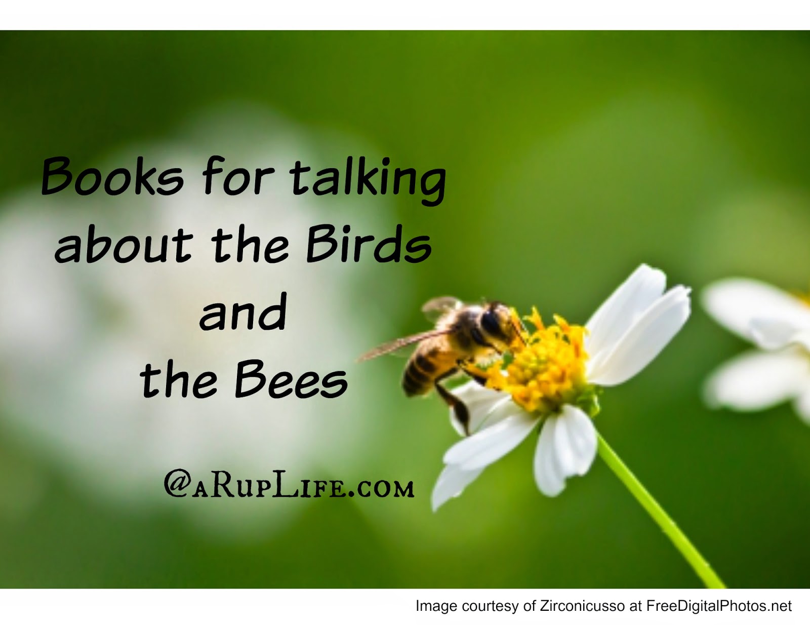 A RUP LIFE Books for Talking about the Birds and the Bees! birdsandbees A RUP LIFE Books for Talking about the Birds and the Bees! birdsandbees