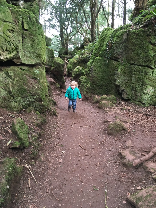 toddler wlaking towards the camera through a cut out in a rock covered in green plants