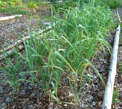 5 Acres & A Dream: April 2012