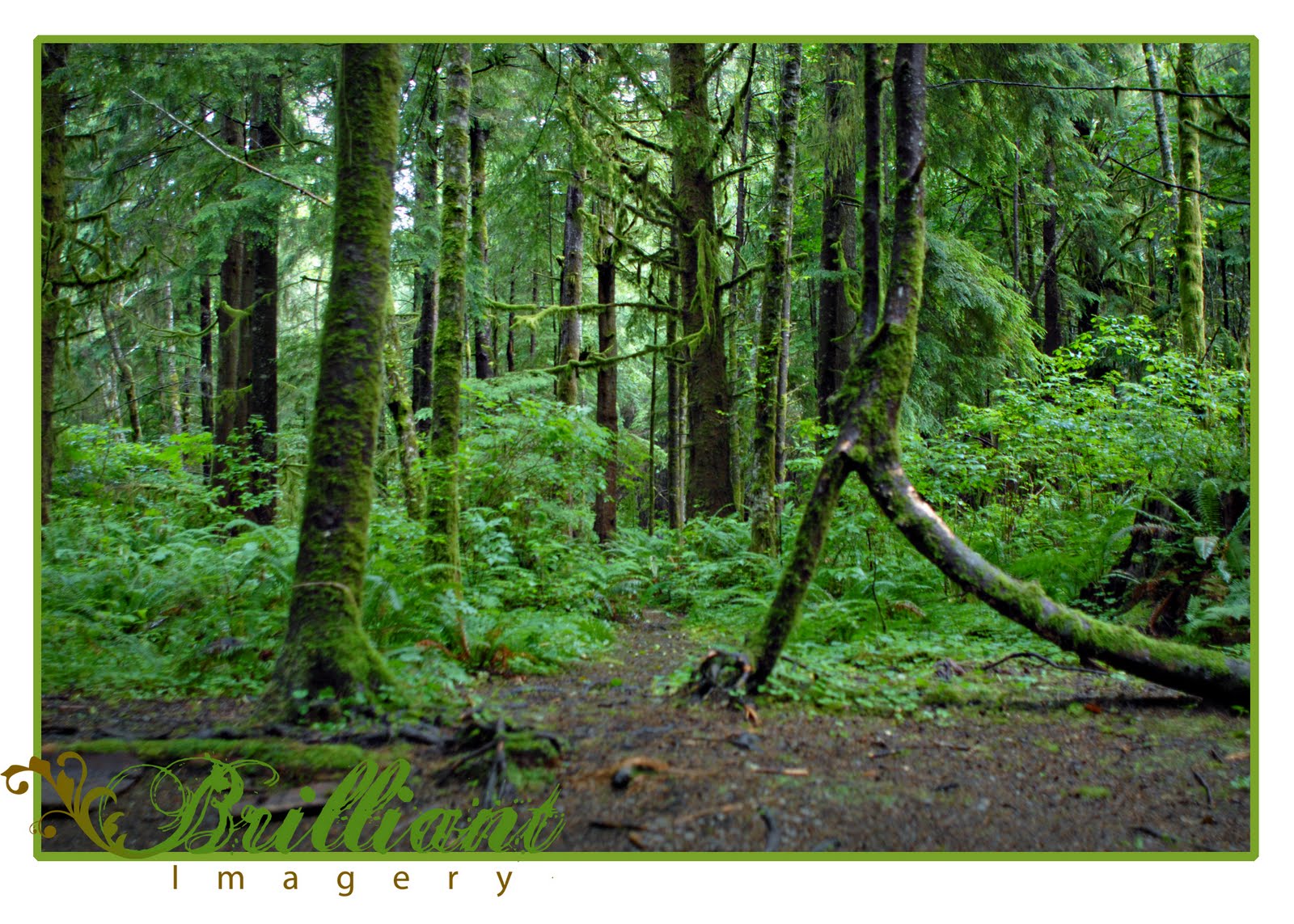 Rachel Garcia Las Vegas Wedding Photographer The Persistence of Memory