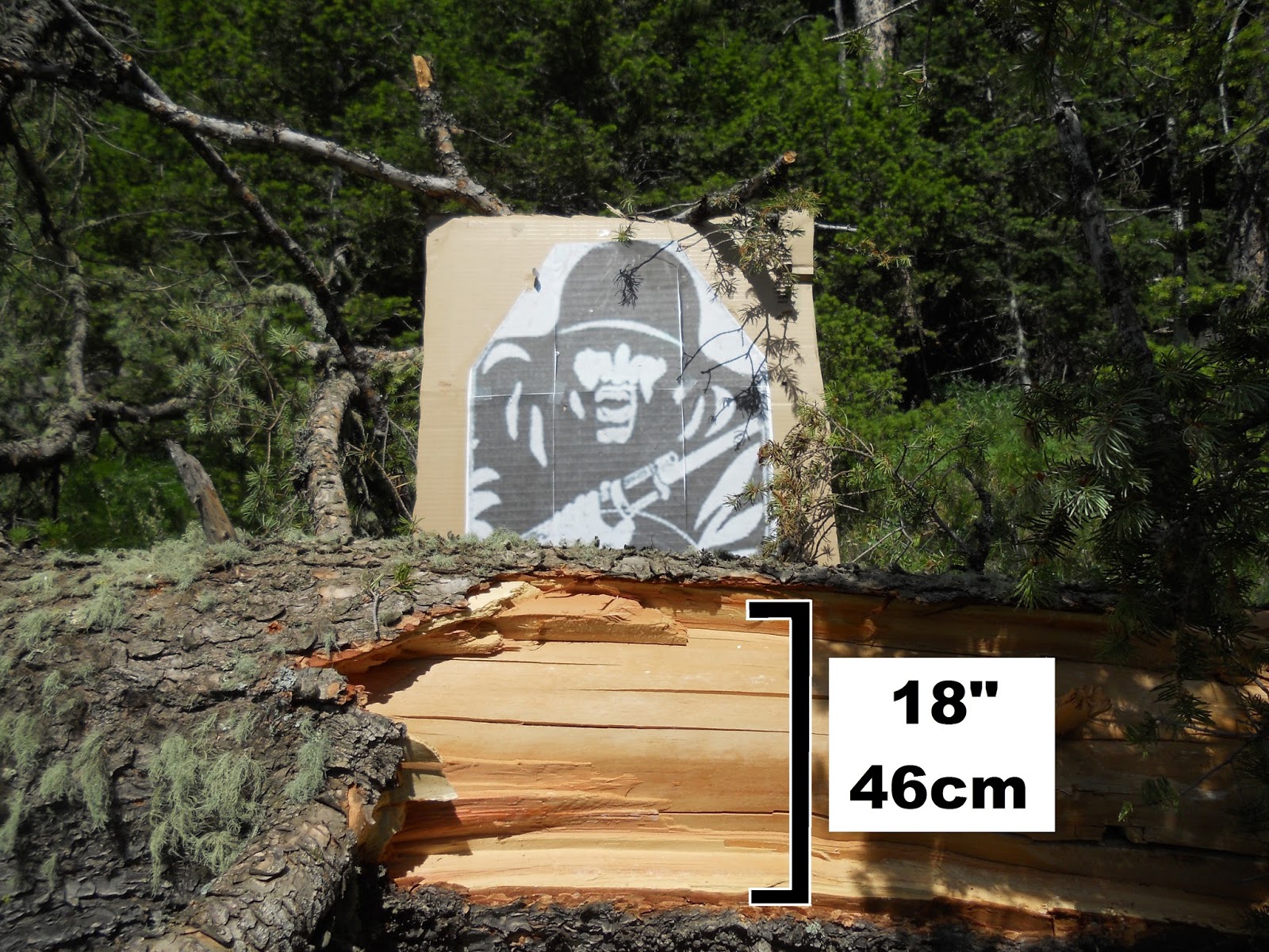 Free tiny ass and tits vids I bang pornstars candy manson torrent