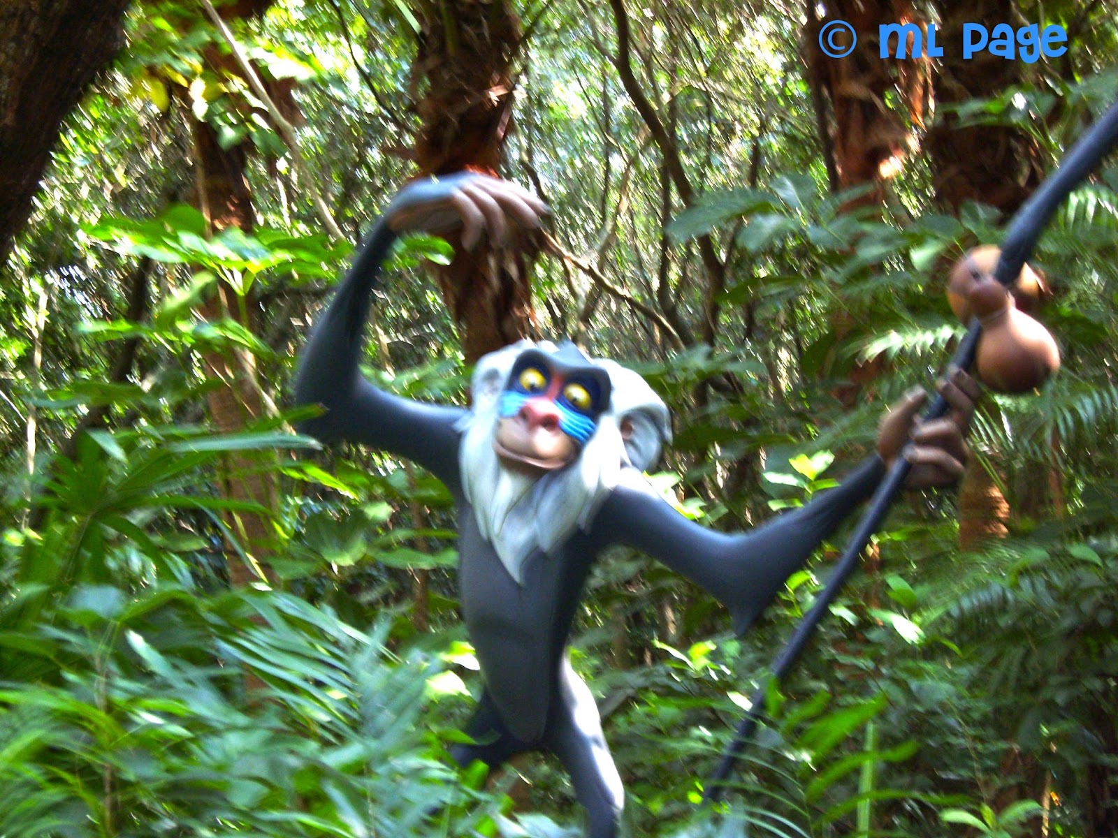 Picturing Disney: Rafiki's Planet Watch