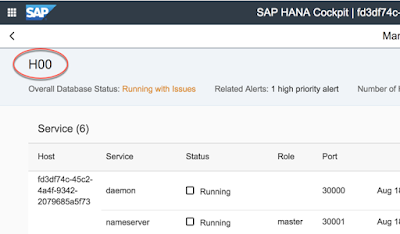 SAP HANA Certification, SAP HANA Study Materials, SAP Cloud Platform, SAP HANA  Guides