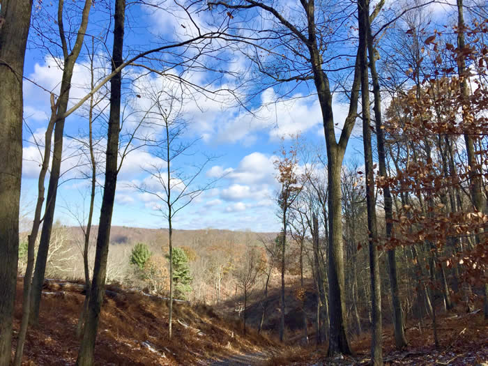 PA Environment Digest Blog Brodhead Watershed Assn March 17 Cherry