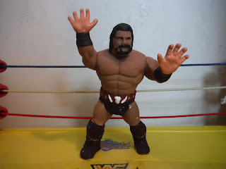 WWF Hasbro CUSTOM (incomplete) The Barbarian action figure