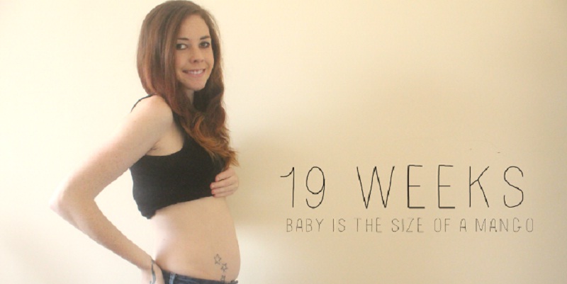 19 неделя 2023. Живот на 19 неделе беременности. Живот на 19 неделе беременности фото. 19 Week pregnancy.