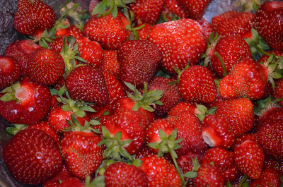 Big Bowl of Strawberries Photo by Trisha Field