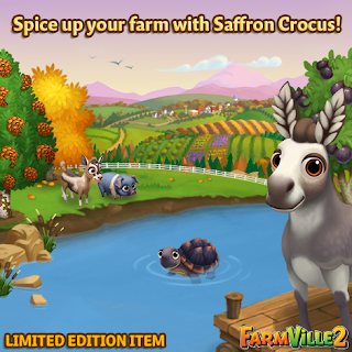 Spice up your farm with Saffron Crocus