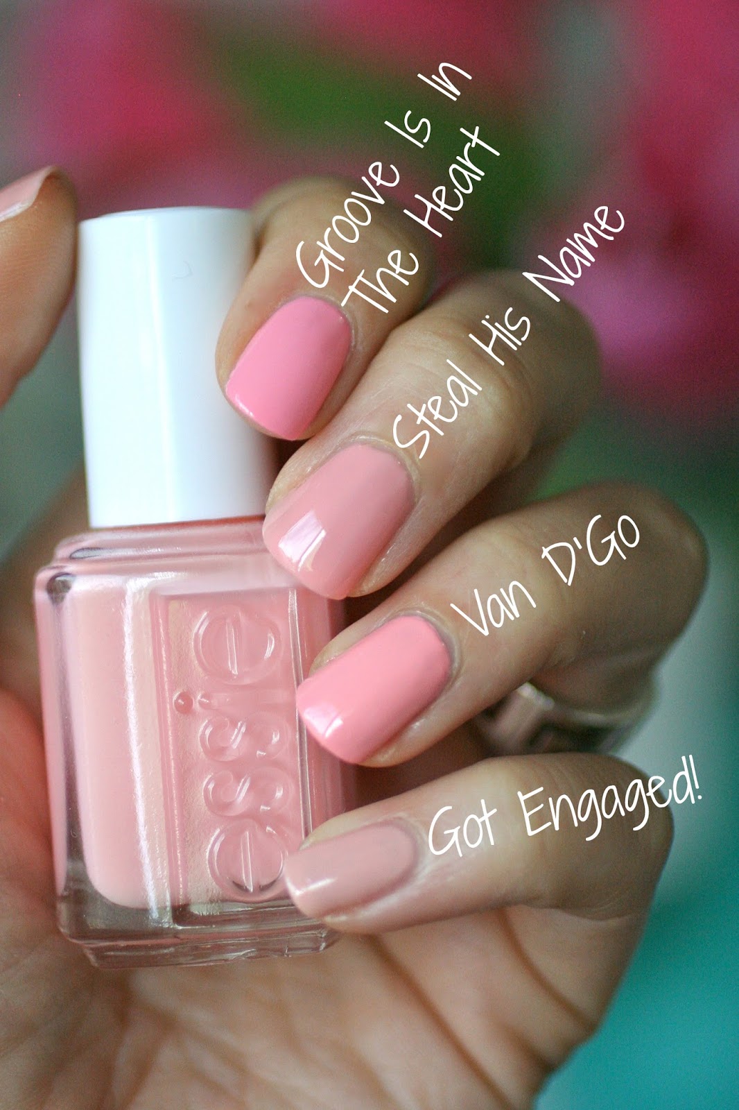 Bella Nail Spa Baltimore Bella Nail Spa Baltimore