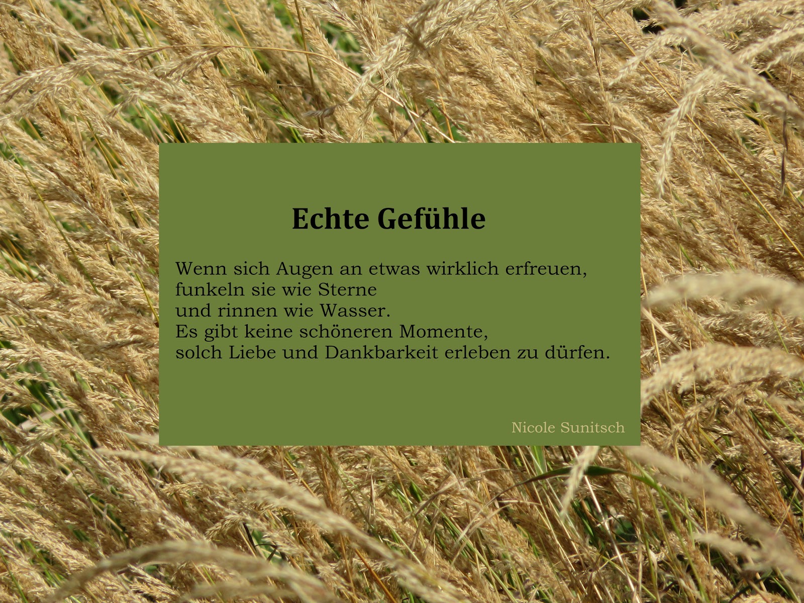 Gedichte Von Nicole Sunitsch Autorin Dezember 2017 Echte Gefühle Zitat Von Nicole Sunitsch