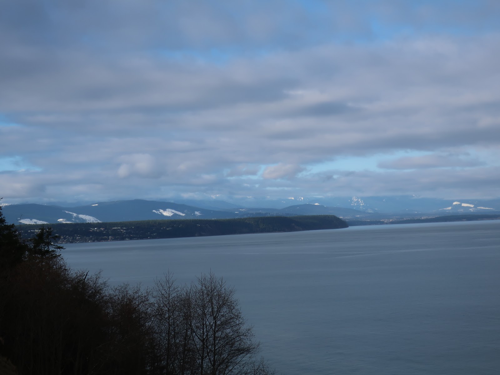 Reading the Washington Landscape: Sea Otter Off the Quimper Peninsula