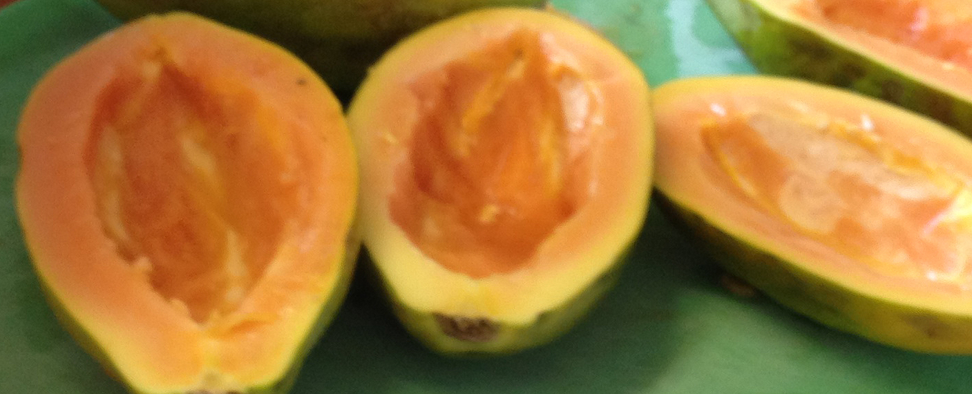 Franklin Inn Mexican Restaurant What the Heck is a Cactus Pear?