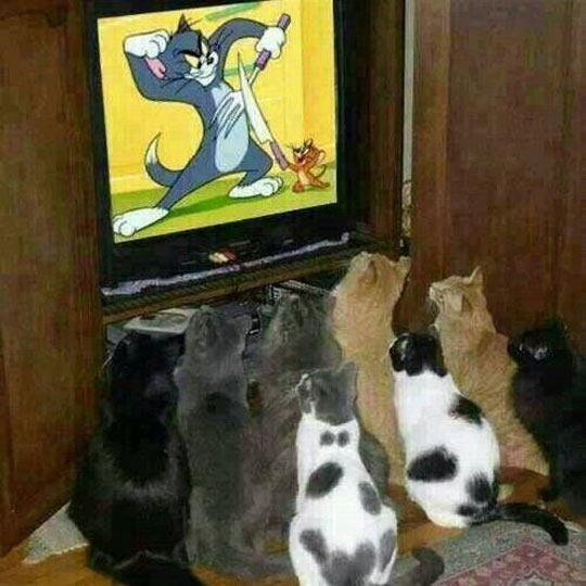 cool-cats-TV-Tom-Jerry-cartoon.jpg