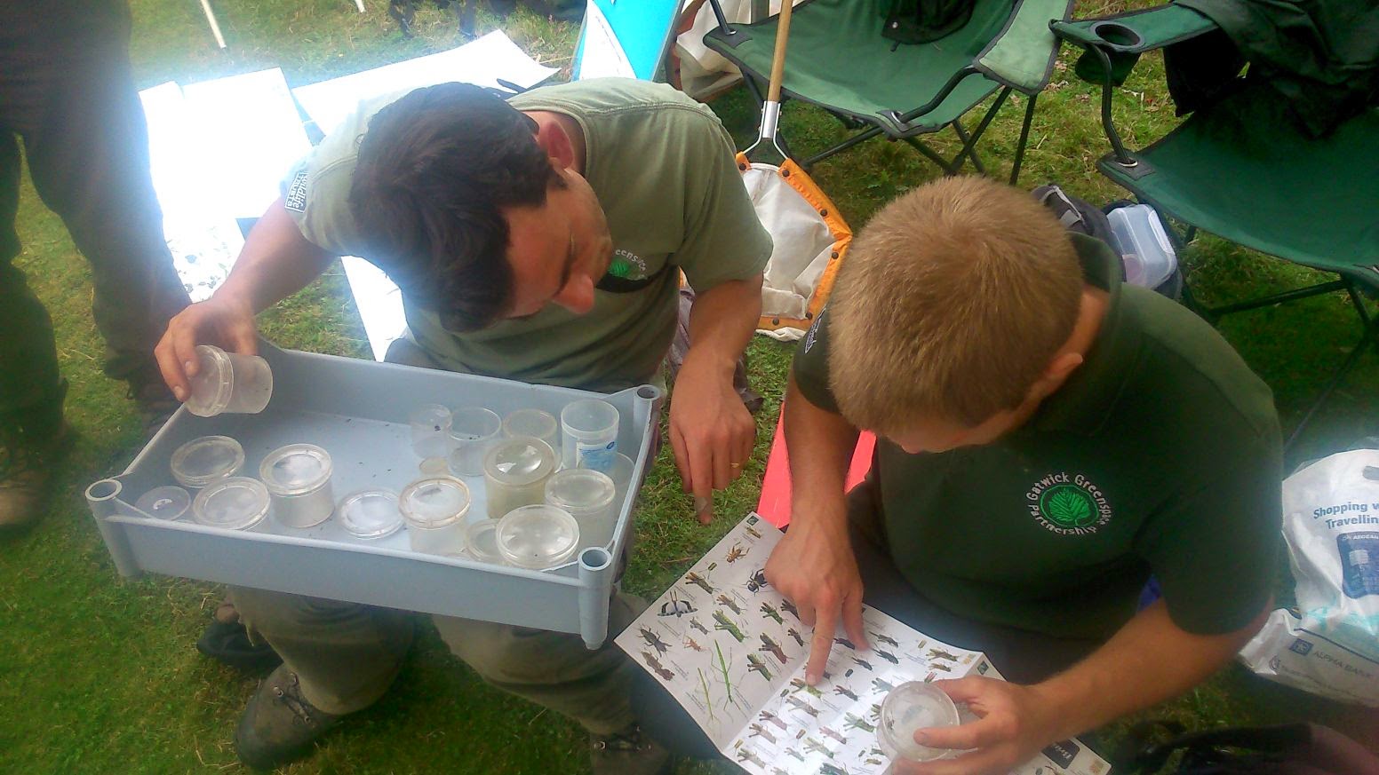 Biodiversity Gatwick Gatwick's first Wildlife Recording Day