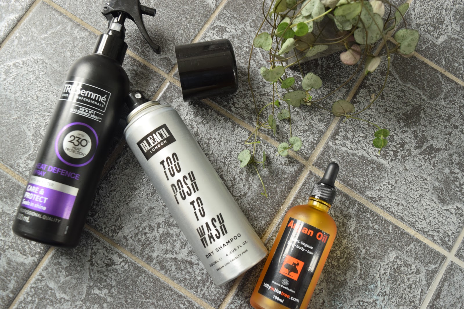 My Bleached Hair Care Routine Updated Feat Bleach London