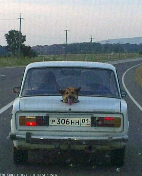 Altes russisches Auto witziger Hund im Kofferraum