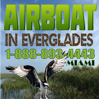 everglades airboat rides shark valley airboat tours