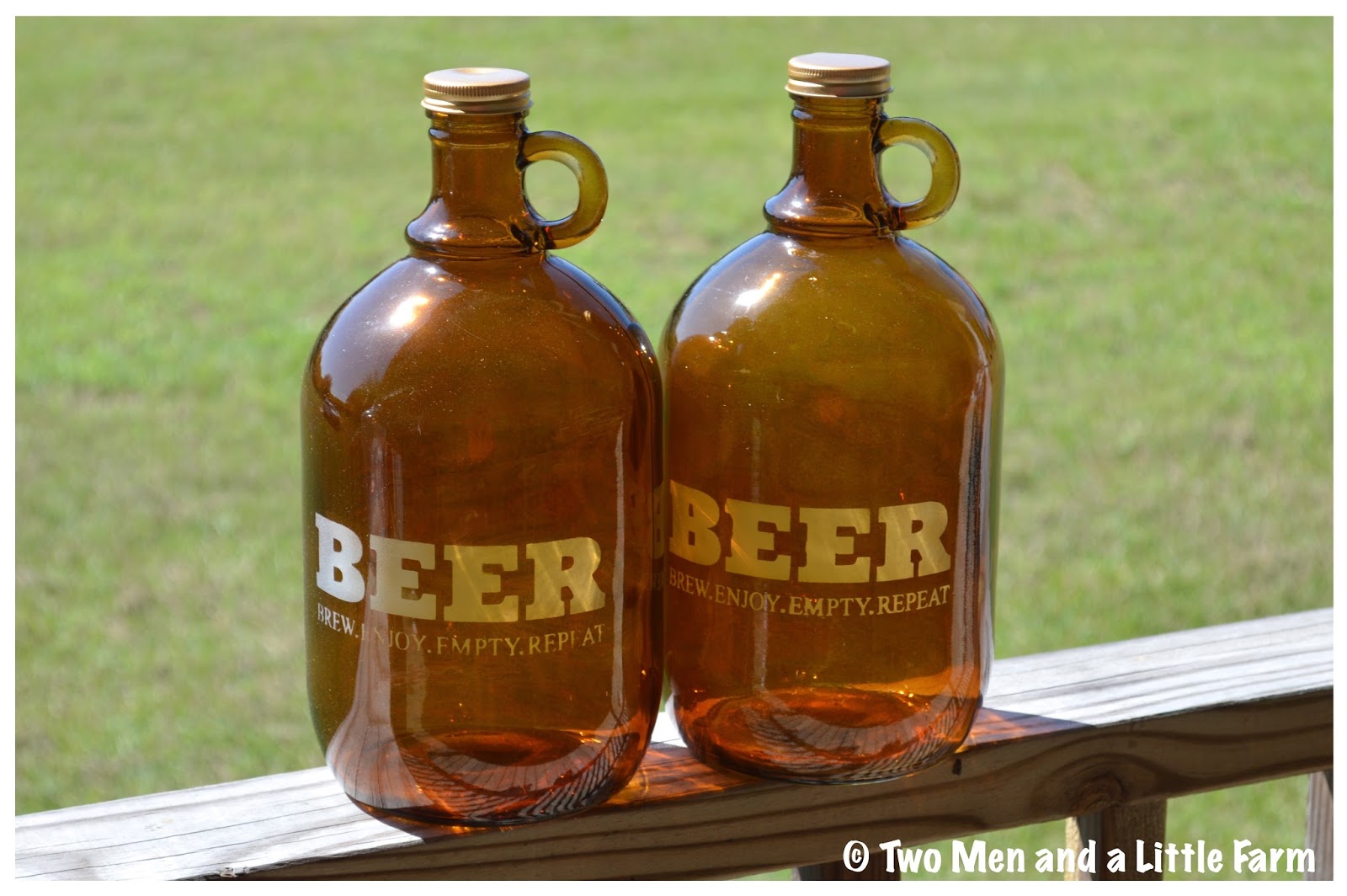 Two Men and a Little Farm GLASS JUGS STORE FIND