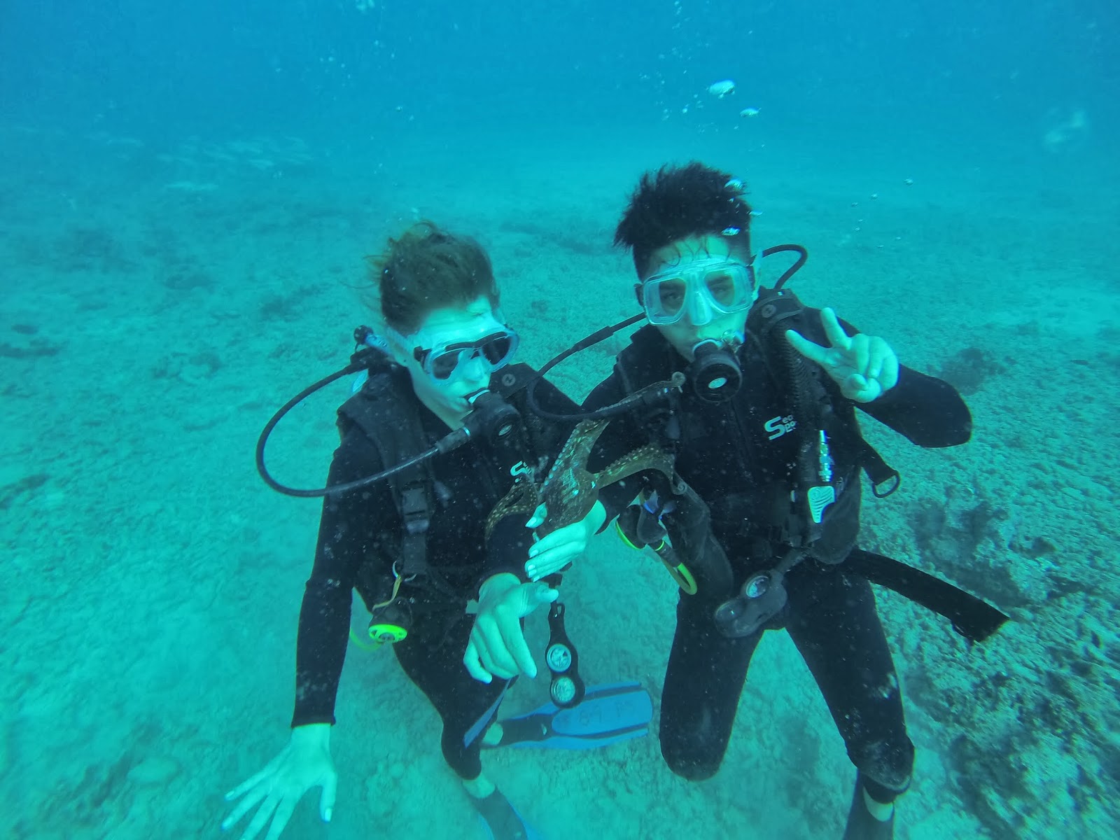 Rainbow Scuba Diving Hawaii First Time Scuba Divers Honolulu Hawaii