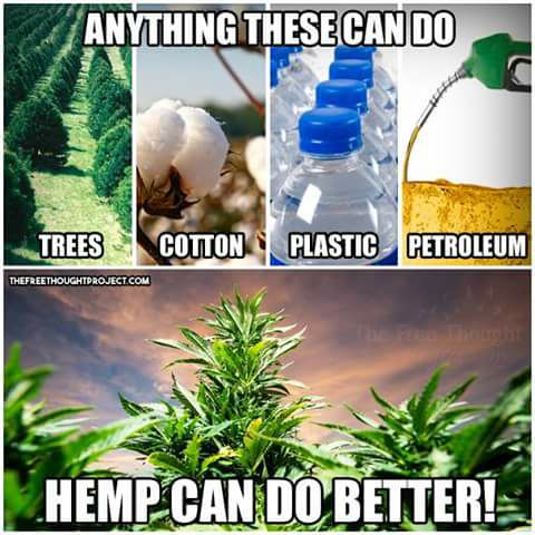 Hemp%2Bbenefits%2Bplastic%2Bcotton%2Bdrugs%2Bfossil%2Bfuels.jpg