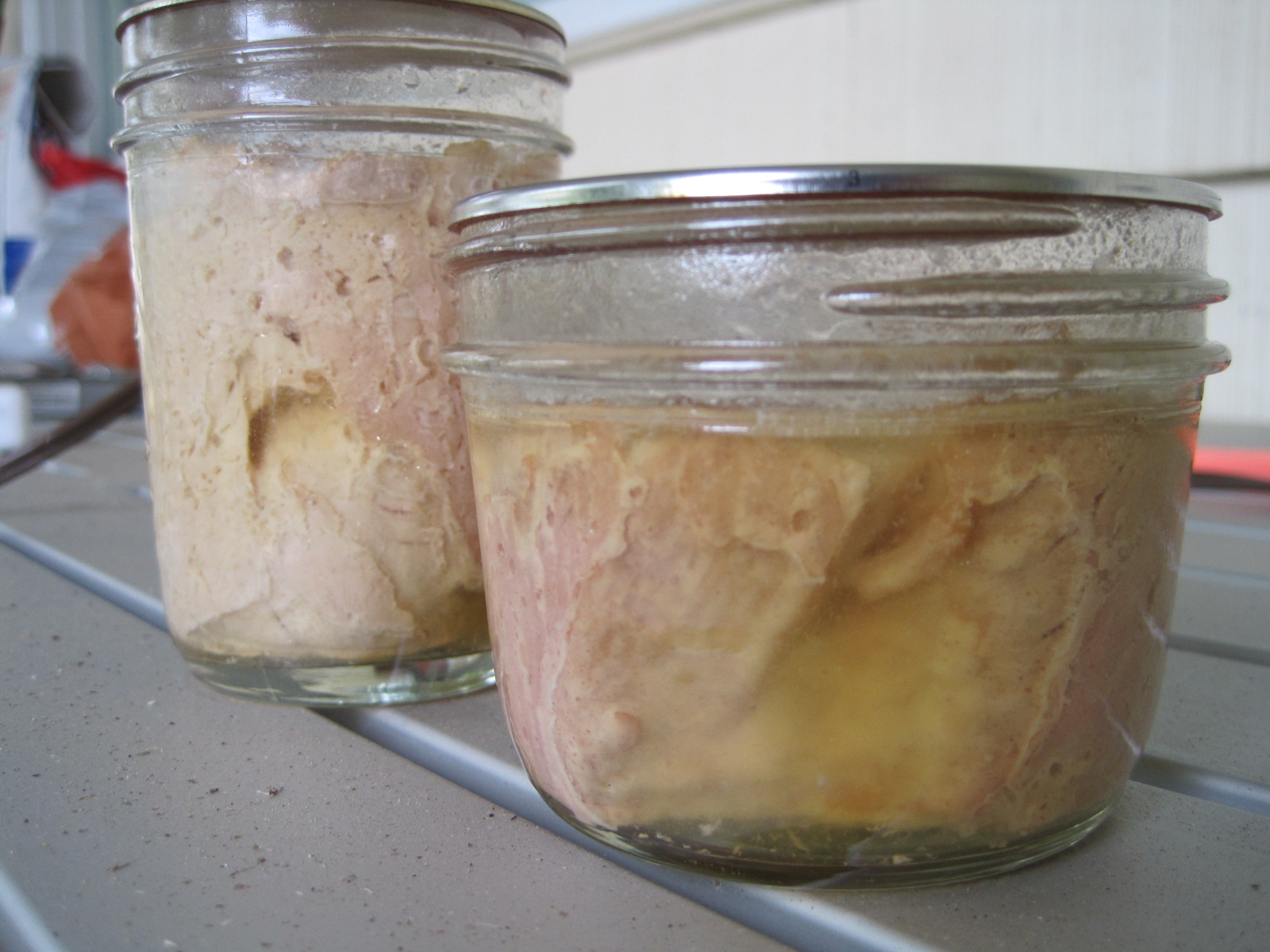 How to Prepare Tuna Canned Food for Hypertension Frozen Tuna Fish