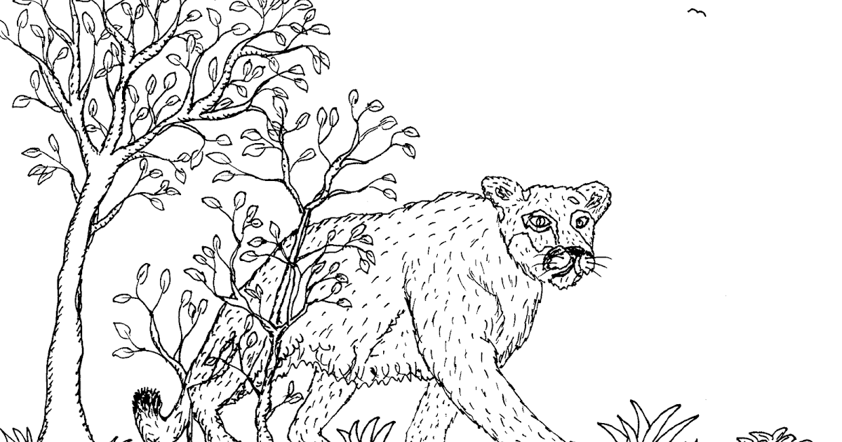 Robin's Great Coloring Pages: Mountain Lion