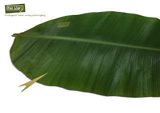 Year 3 Design Context: Banana Leaf Textures