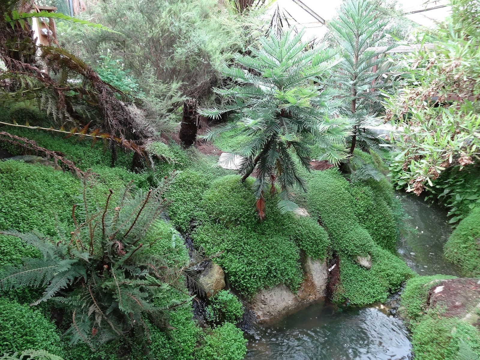 Le blog de parcs et jardins de l'oise: la serre de plantes ...