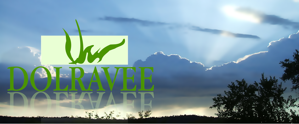 Dolravee Slow Life Investor : การลงทุนในความรู้ คือการลงทุนที่ดีที่สุด 