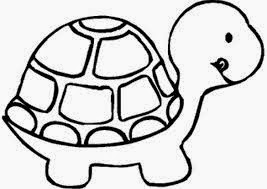Turtle Coloring pages free for kids - gaa coloring