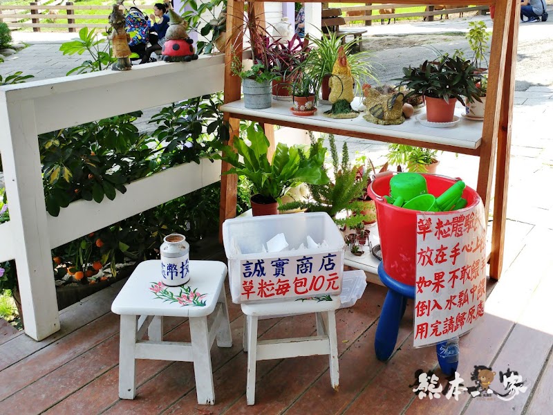 偶像劇「薰衣草」場景|花坊、蝴蝶生態區步道|飛牛牧場~唯美自然系IG景點