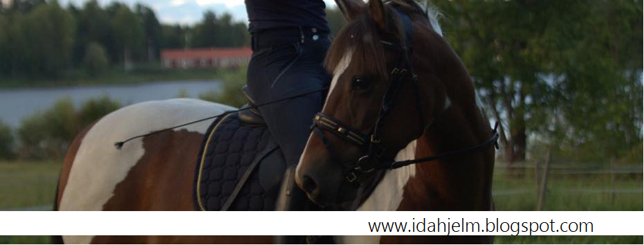 Ida Hjelm - En blogg med hästar och träning i fokus