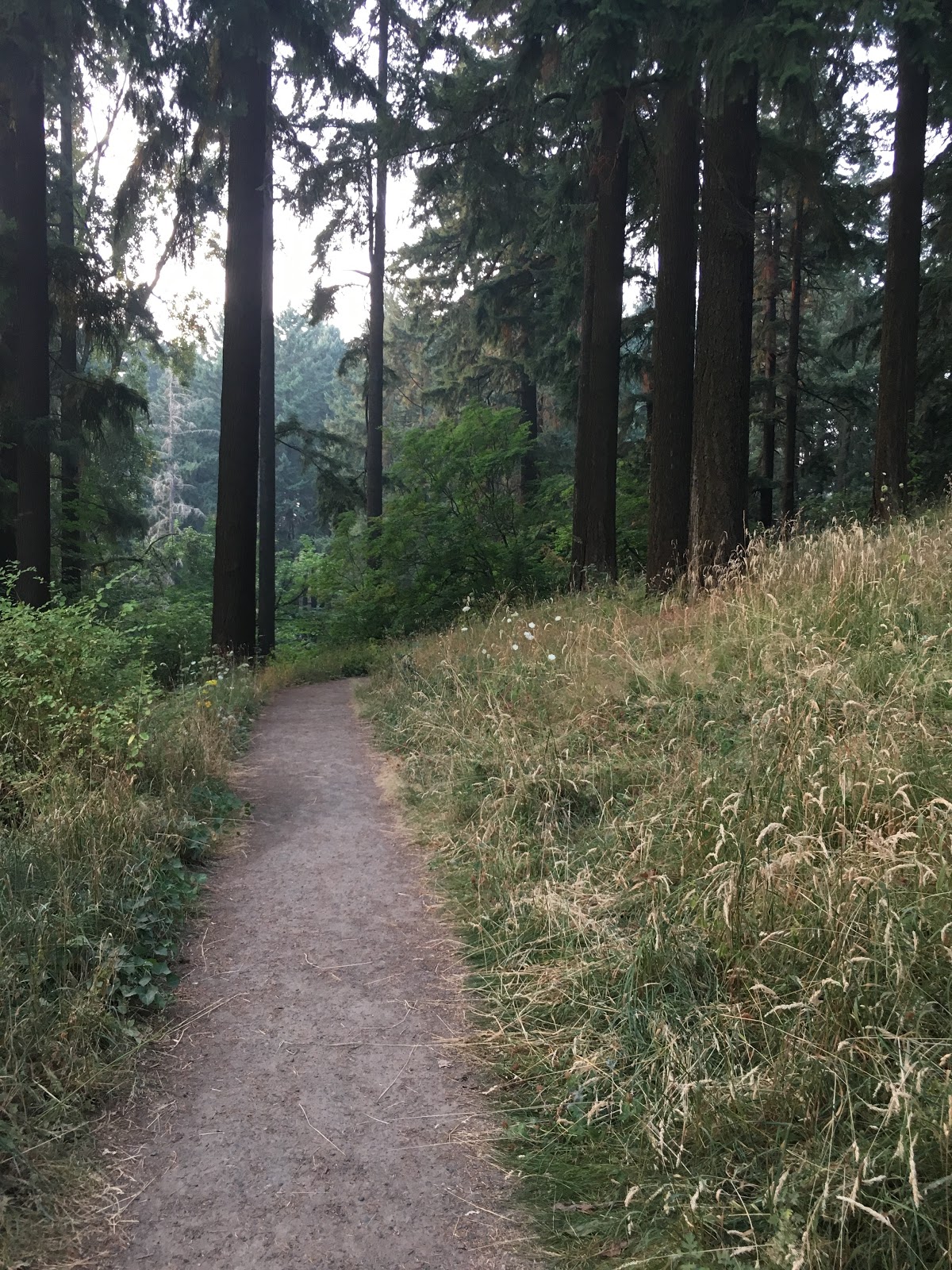 Mount Tabor Park, Portland, Oregon