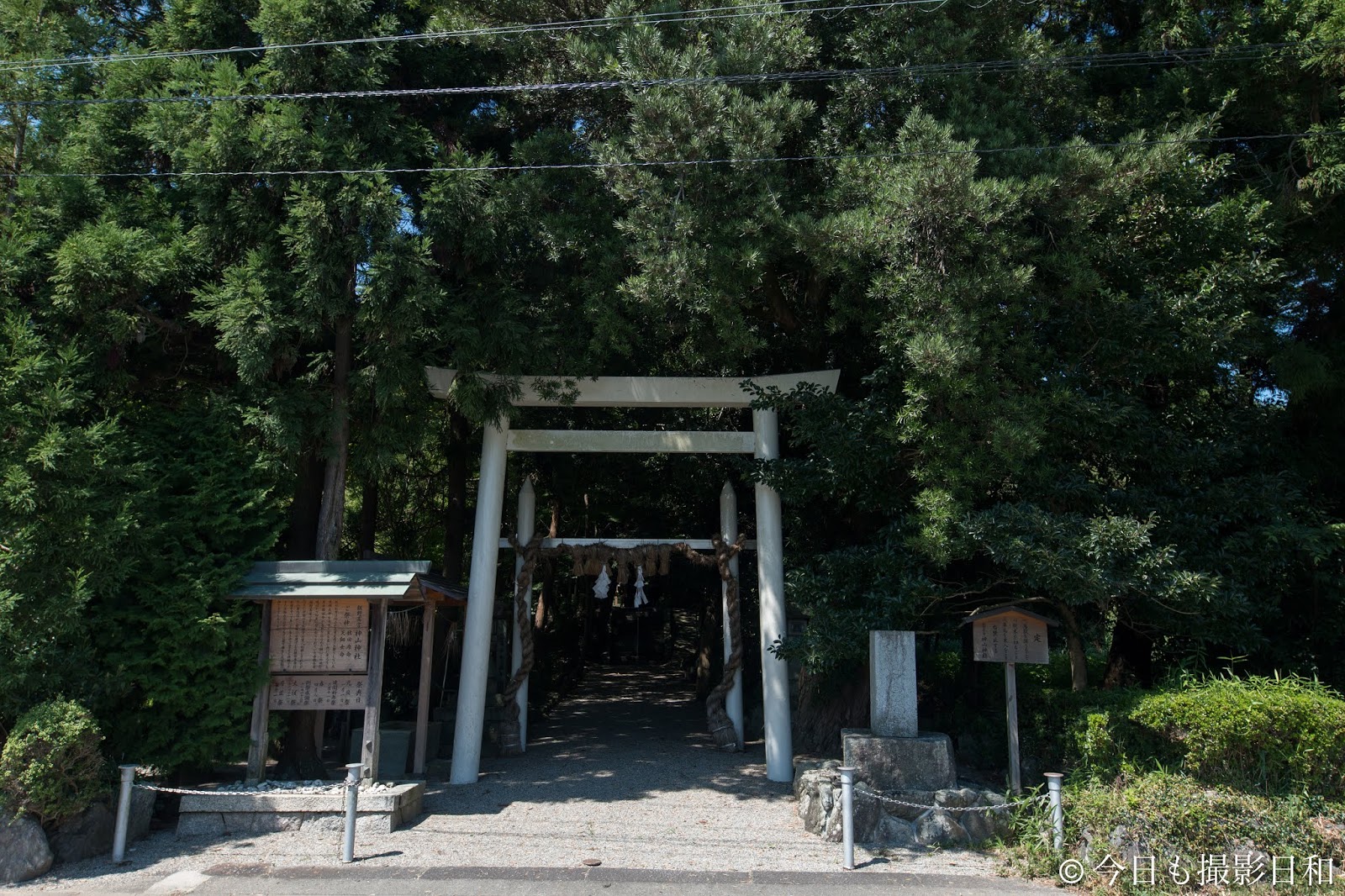 境内の中を線路が走る神社 飯野高宮神山神社今日も撮影日和