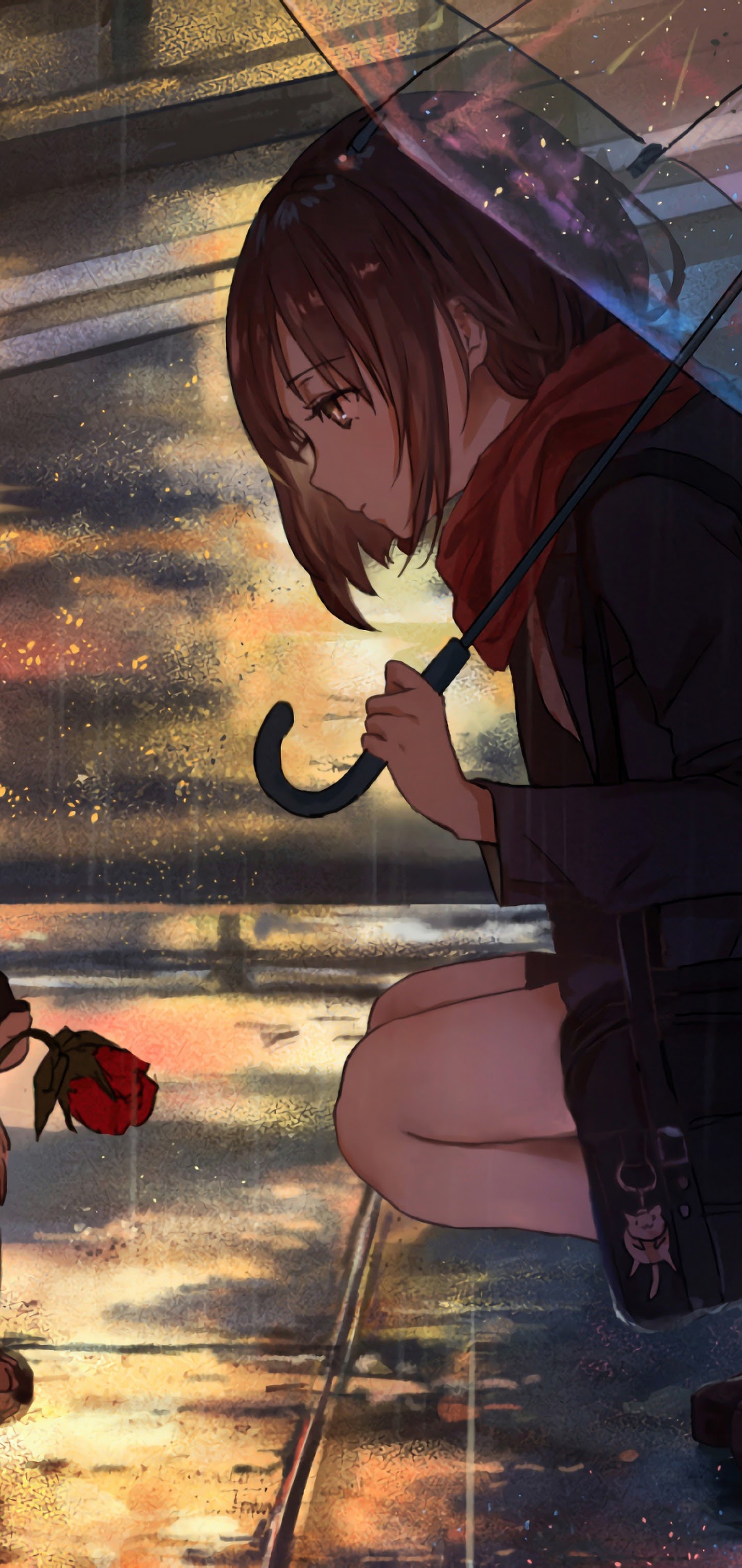 Anime Girl Cat Sunset 4K Phone iPhone Wallpaper #4810b