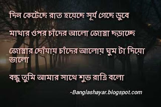 bangla good night sms