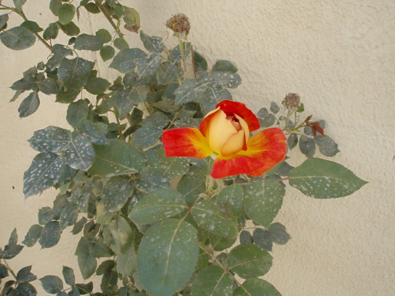 The Adventures of Johnny Northside: Enjoy The Hennepin County Jail