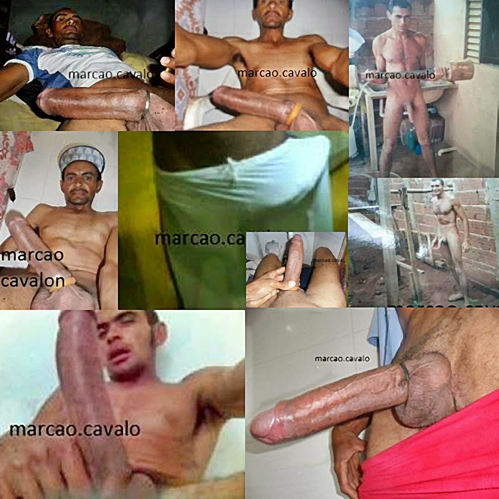 marcao cavalo 32cm monster brasilia