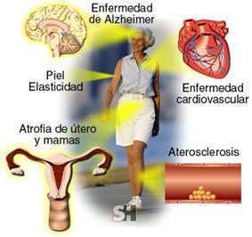 maca perdida de peso repentina maca perdida de peso repentina