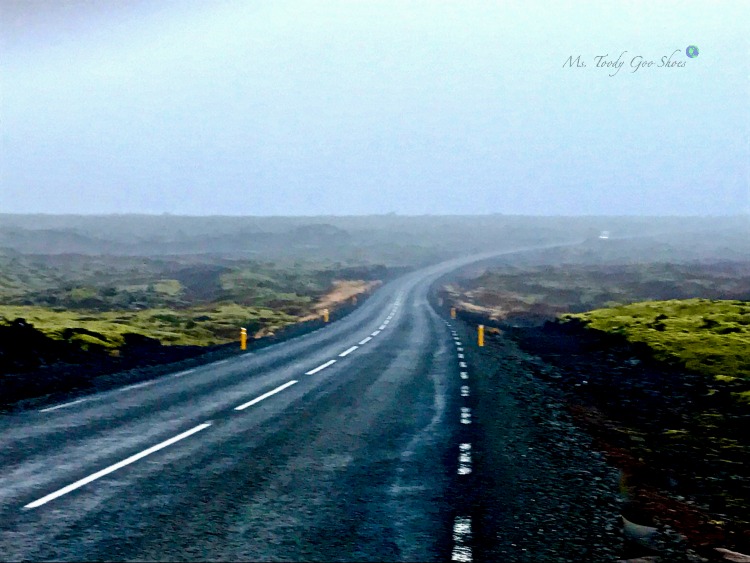 Driving along the south coast of Iceland | Ms. Toody Goo Shoes