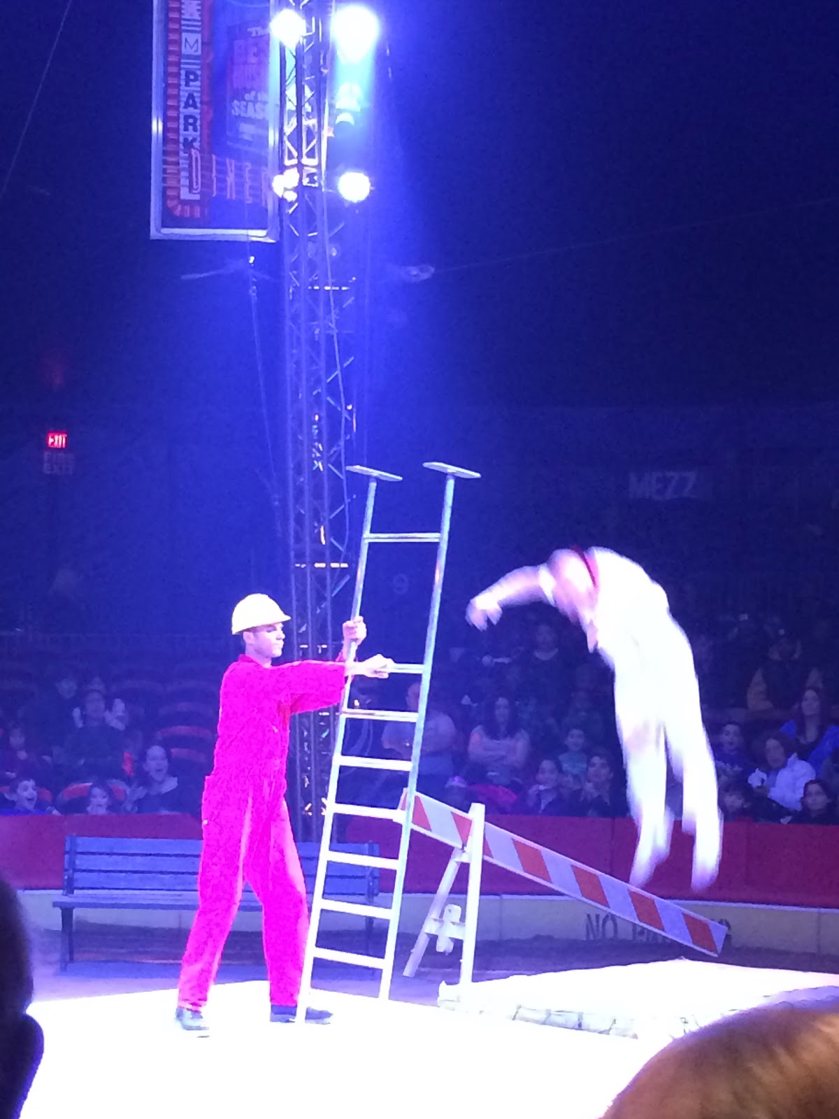 Attempted Bloggery The Big Apple Circus Luminocity Attempted bloggery the big apple circus luminocity