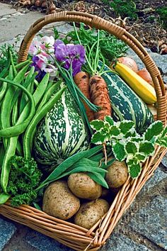 vegetables images