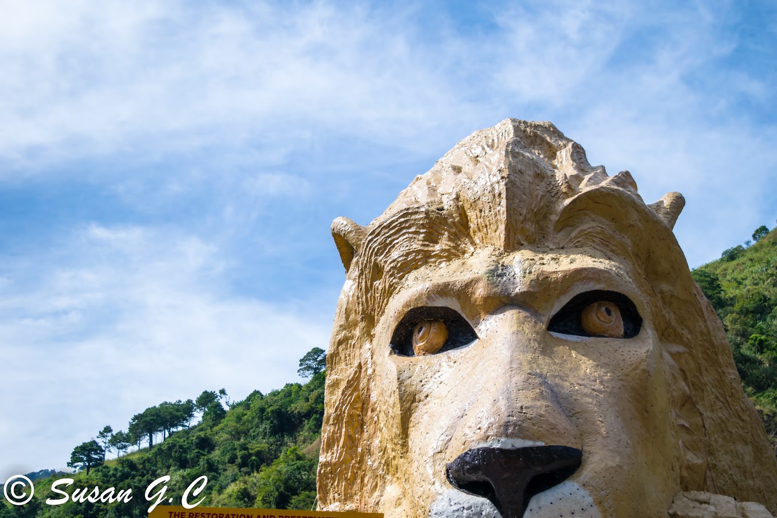 Product Of My Mind Trip to Baguio Second Day Lion's head