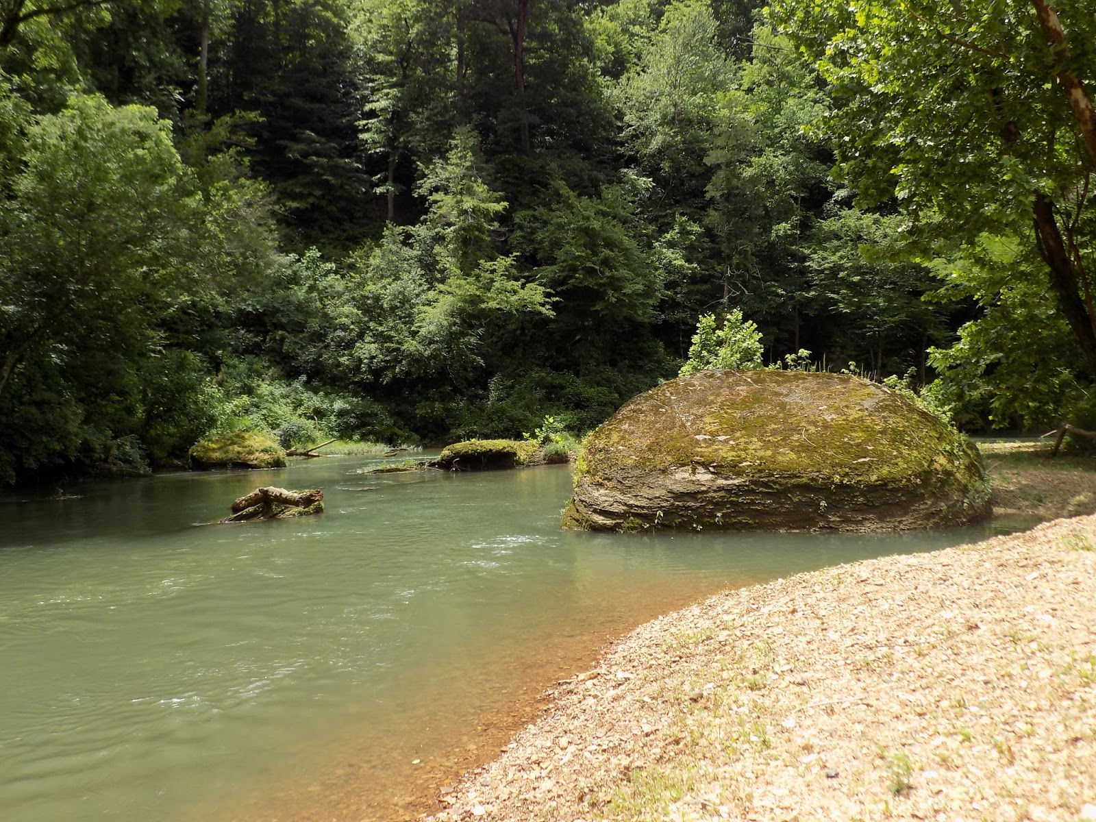 Paddle Tennessee Piney River Pinewood Canoe and Camp